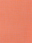 Bliss Guava 48135-0006 Sunbrella Fabric